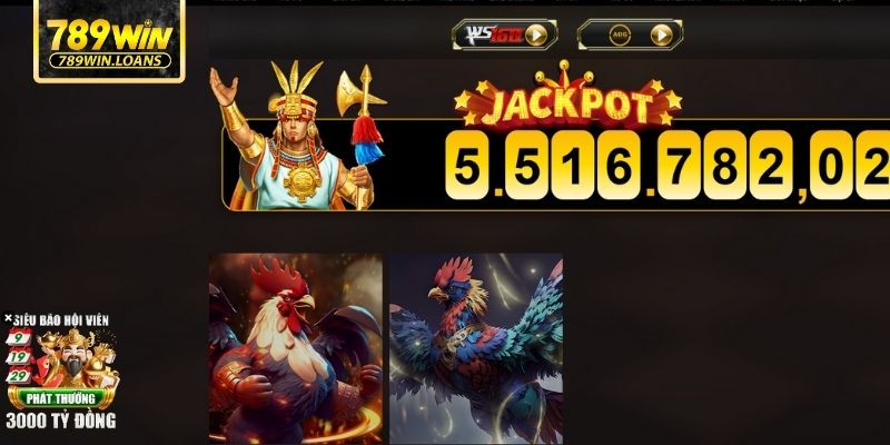 Điểm danh các loại hình đá gà ấn tượng nhất tại 789WIN