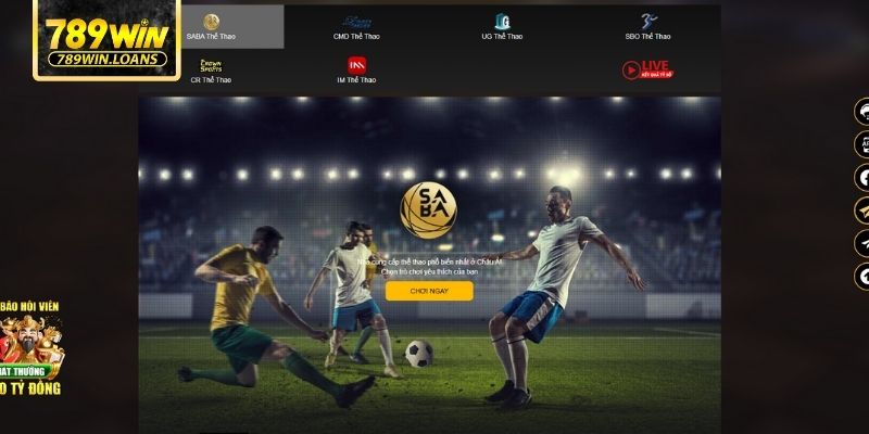 Tìm hiểu về các sảnh thể thao uy tín tại 789WIN 